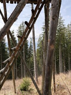 Fotografia z Mandy Friedrich na trase