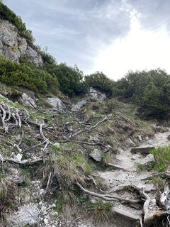 Fotografie de la Stefan Schiller de-a lungul turului