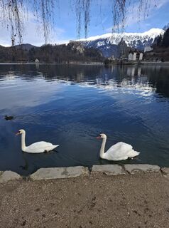 Photo de Miha Gros le long du parcours