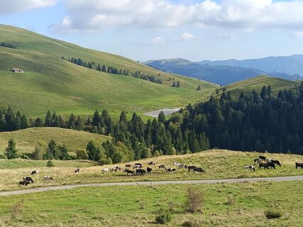 Foto von Gloria 1 entlang der Tour