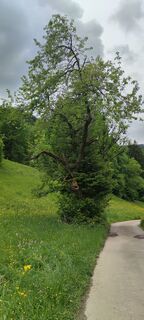 Foto von Thomas Klein entlang der Tour