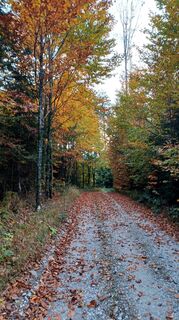 Fotografia z Martina Kirchtag na trase