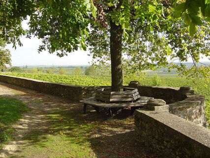 Schlossgarten Herxheim am Berg - Panoramablick in die Rheinebene