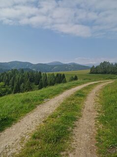 Foto von Michael Forstner entlang der Tour