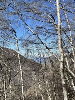 Foto da Mariagrazia Bellagamba lungo il tour