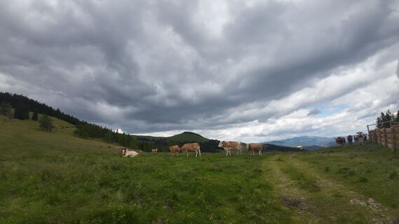 Fotografie z Bertram Sommer na trase