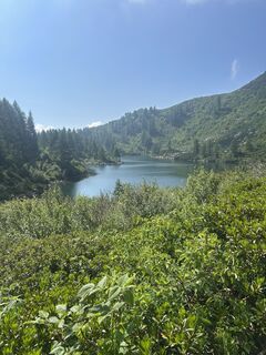 Foto de Englerandi a lo largo del recorrido