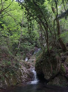 Foto de Aner a lo largo del recorrido