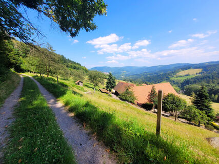 Blick ins Tal