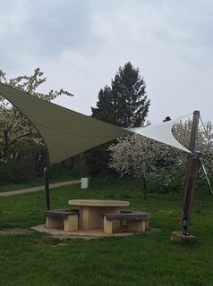 Foto de Mimi a lo largo del recorrido