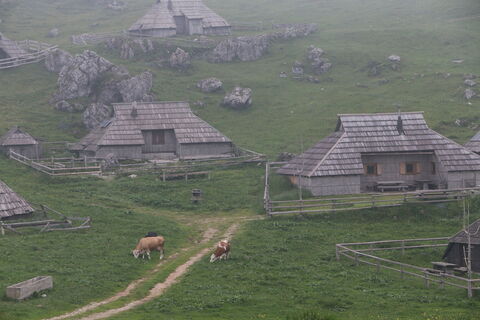 Foto von Andrew clarke entlang der Tour