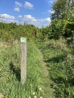 Naturpfad Sauerland-Waldroute