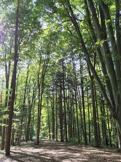 Foto von Bergamotte70 entlang der Tour