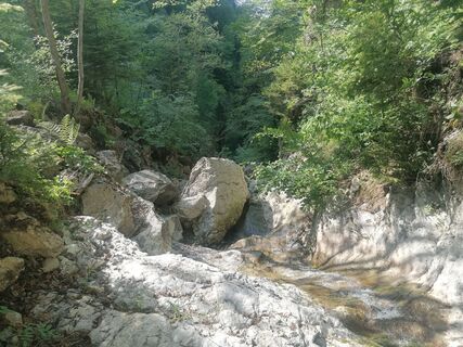Fotografija s spletne strani Turbinio na poti