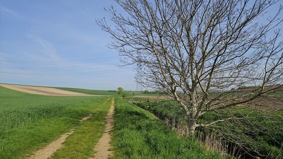 8.3 km Senningbach