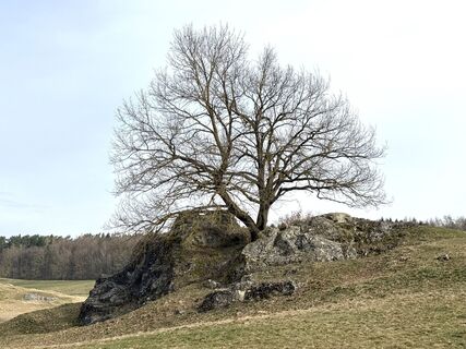 Foto von Norbert Herbig entlang der Tour