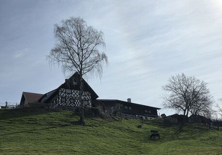 Fotografija s spletne strani Noreen (NoKe) na poti
