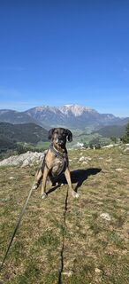 Foto de Markus Ortner a lo largo del recorrido