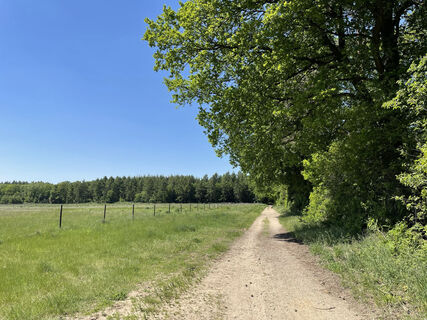 Wanderweg am Waldrand