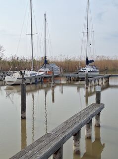 Foto de Mimi a lo largo del recorrido