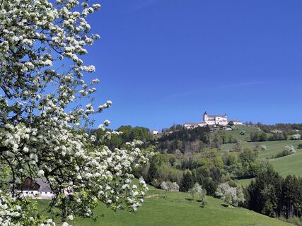 Fotografija s spletne strani Chr Lenz na poti