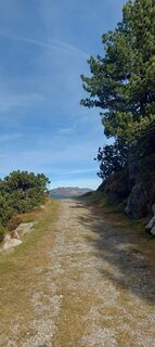 Foto da Sabine Schwartz lungo il tour