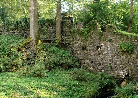 Ruine im Park - Schloss Damtschach