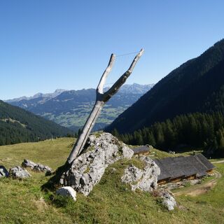 Käseharfe AlpkulTour