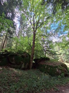Foto von erwinso entlang der Tour