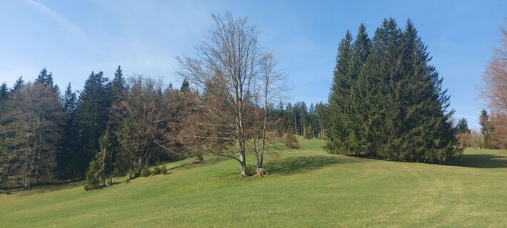 Fotografija s spletne strani Klaus Gruber 3 na poti