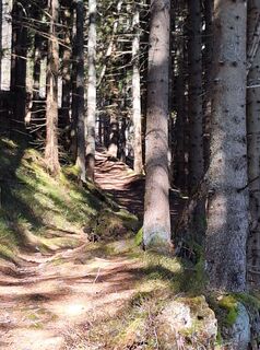 Fotografia z Christa WEIGL na trase