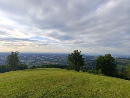 Photo de Meli le long du parcours