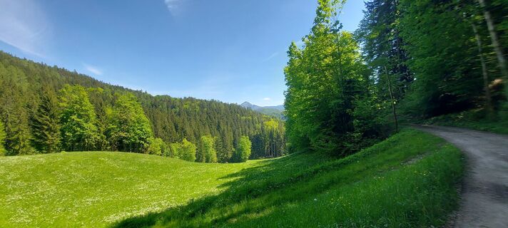 Fotografija s spletne strani Klaus Gruber 3 na poti
