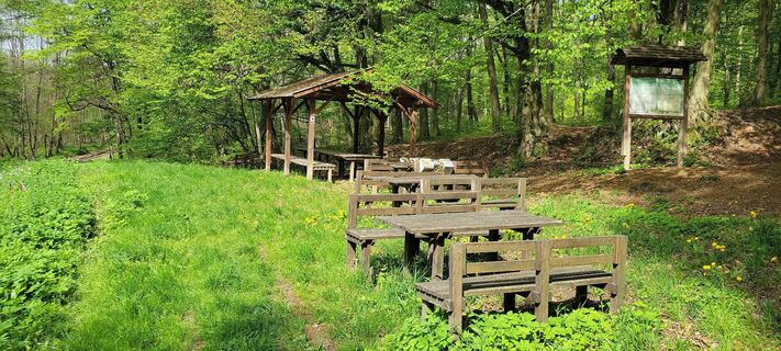 Fotografia z Zoltan Gregor na trase
