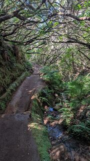 Photo de Sebbe le long du parcours
