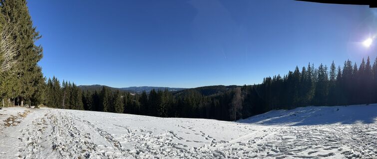 Photo de martina hornik le long du parcours