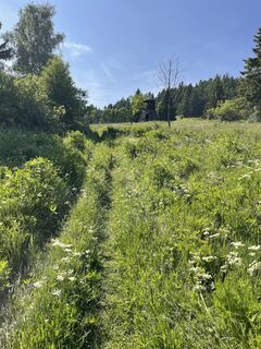 Foto de Marina I a lo largo del recorrido
