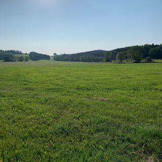 Blick Richtung Schelmenheide