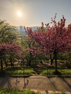 Fotó a Phil honlapról a túra során