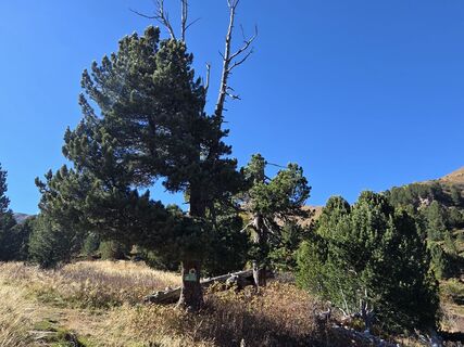 Foto de Gerti Bärnthaler a lo largo del recorrido
