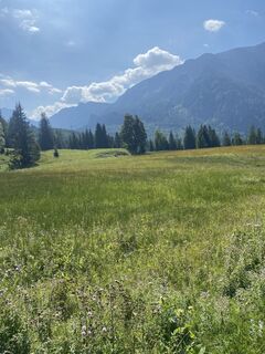 Photo de Istvan Gillich le long du parcours