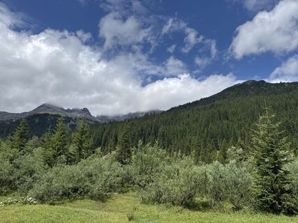 Fotografia z Grizzli na trase