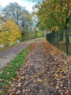 Fotografia z Veno Pavčnik Veljanovski na trase