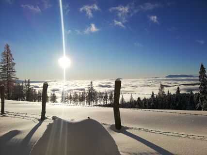 Saualpe Winter - Weg ÖAV Nr. 334