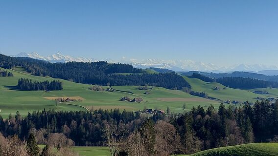 Fotó a ChrisPayer honlapról a túra során