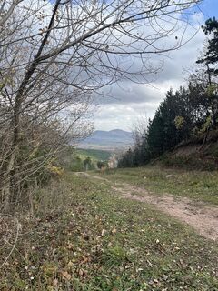 Foto de Vicaliza a lo largo del recorrido