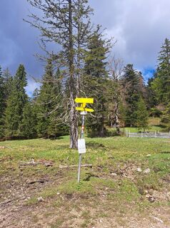 Fotografie z Christian Lerchster na trase