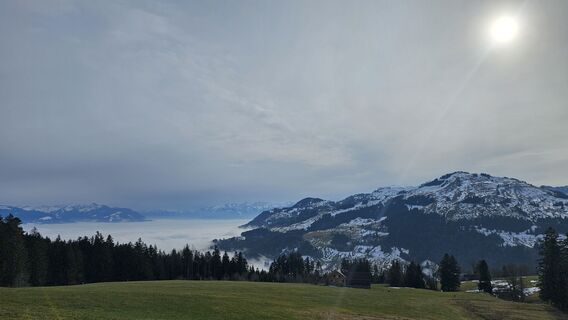 Fotografija s spletne strani Marlyse Leu na poti