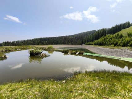 Fotografia z Silvio Ernst na trase