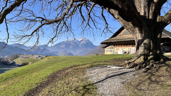 Photo de Boris Schickedanz le long du parcours